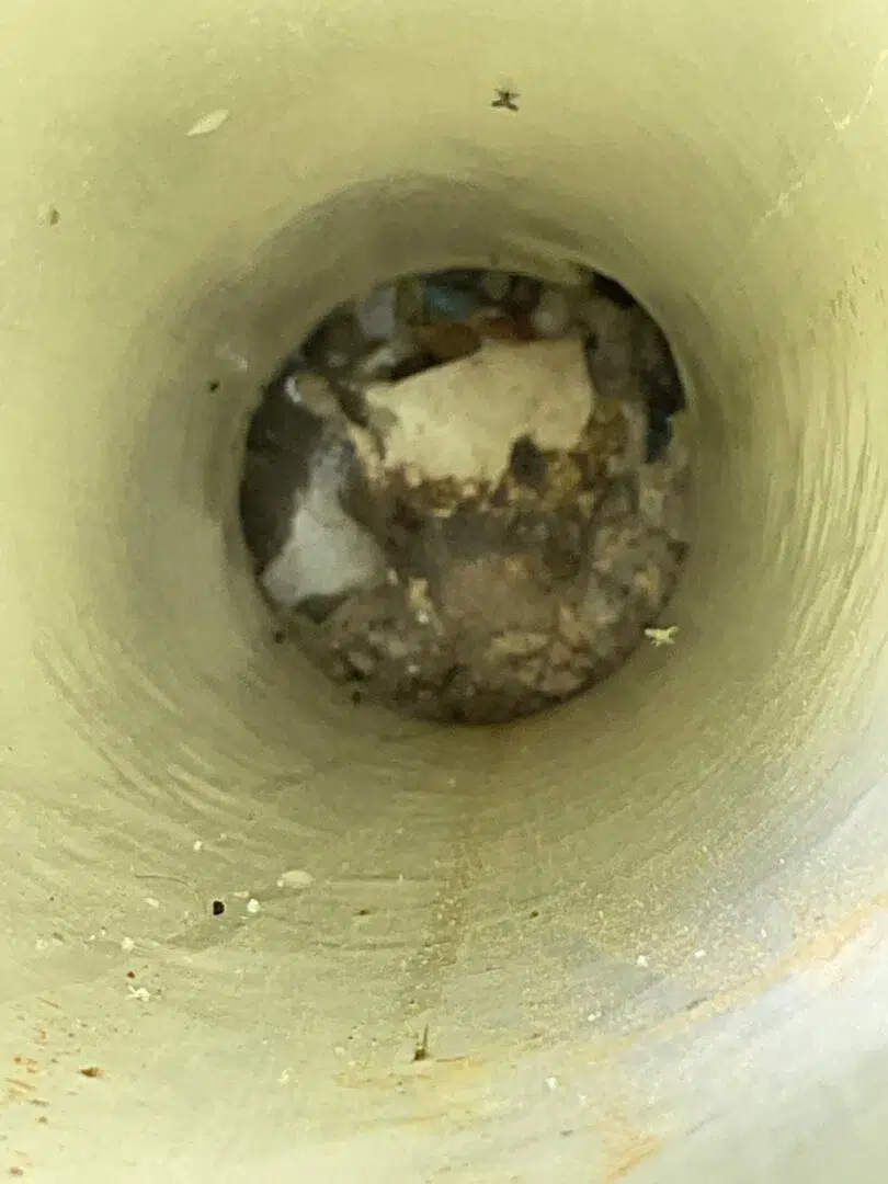 Backed up sewage pipe