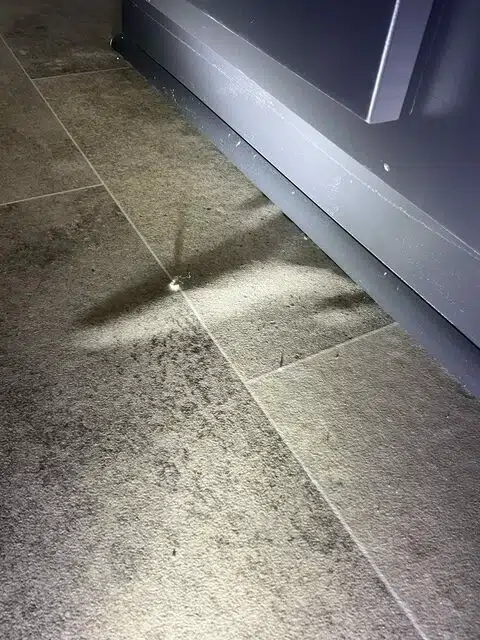 Wrinkled linoleum floor